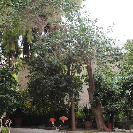 Bed & Breakfast Alkistis Tolo